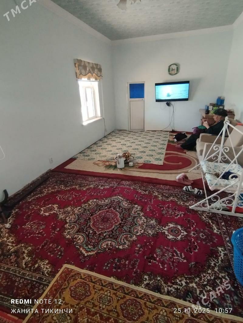 satlyk jay - Garagum etraby - img 8