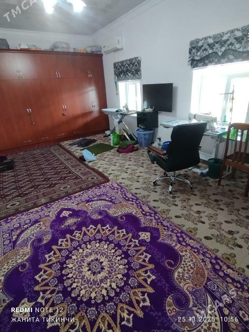 satlyk jay - Garagum etraby - img 10