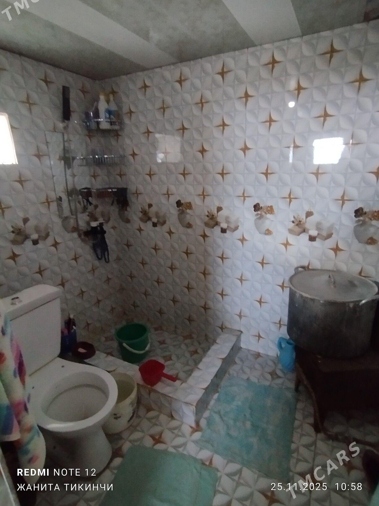 satlyk jay - Garagum etraby - img 6