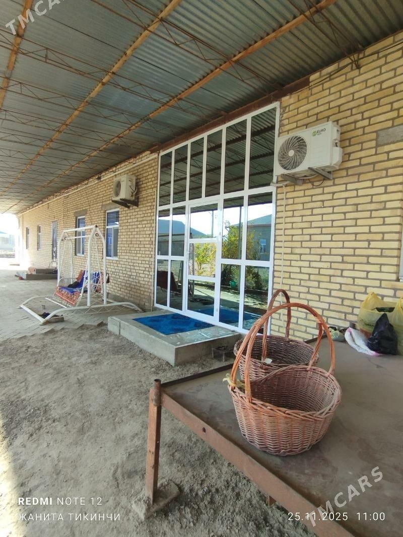 satlyk jay - Garagum etraby - img 2