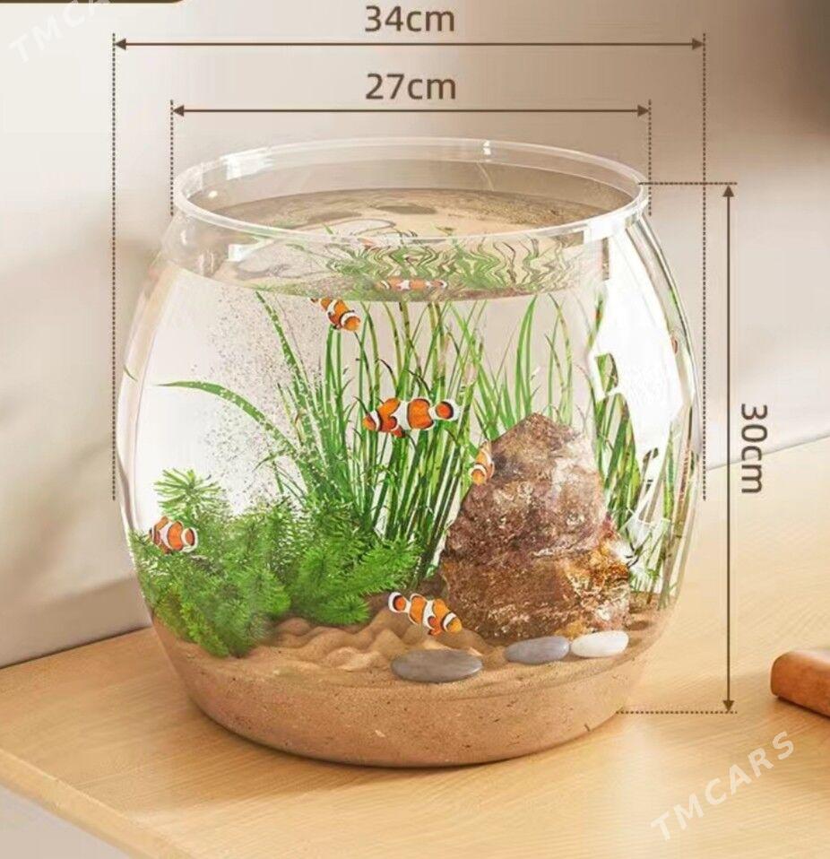 Аквариум - Ашхабад - img 1