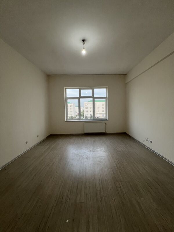 Arenda Gurtly pol elitka - Gurtly - img 1