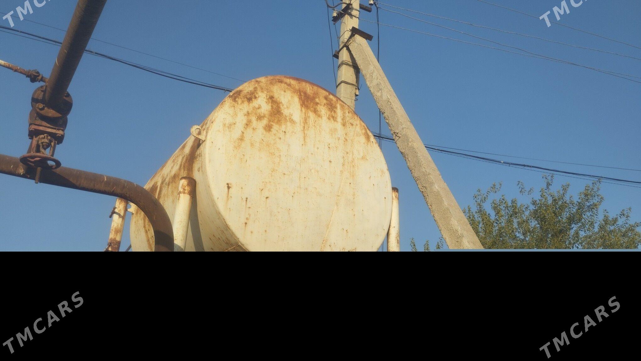 Yomkost - Sakarçäge - img 2