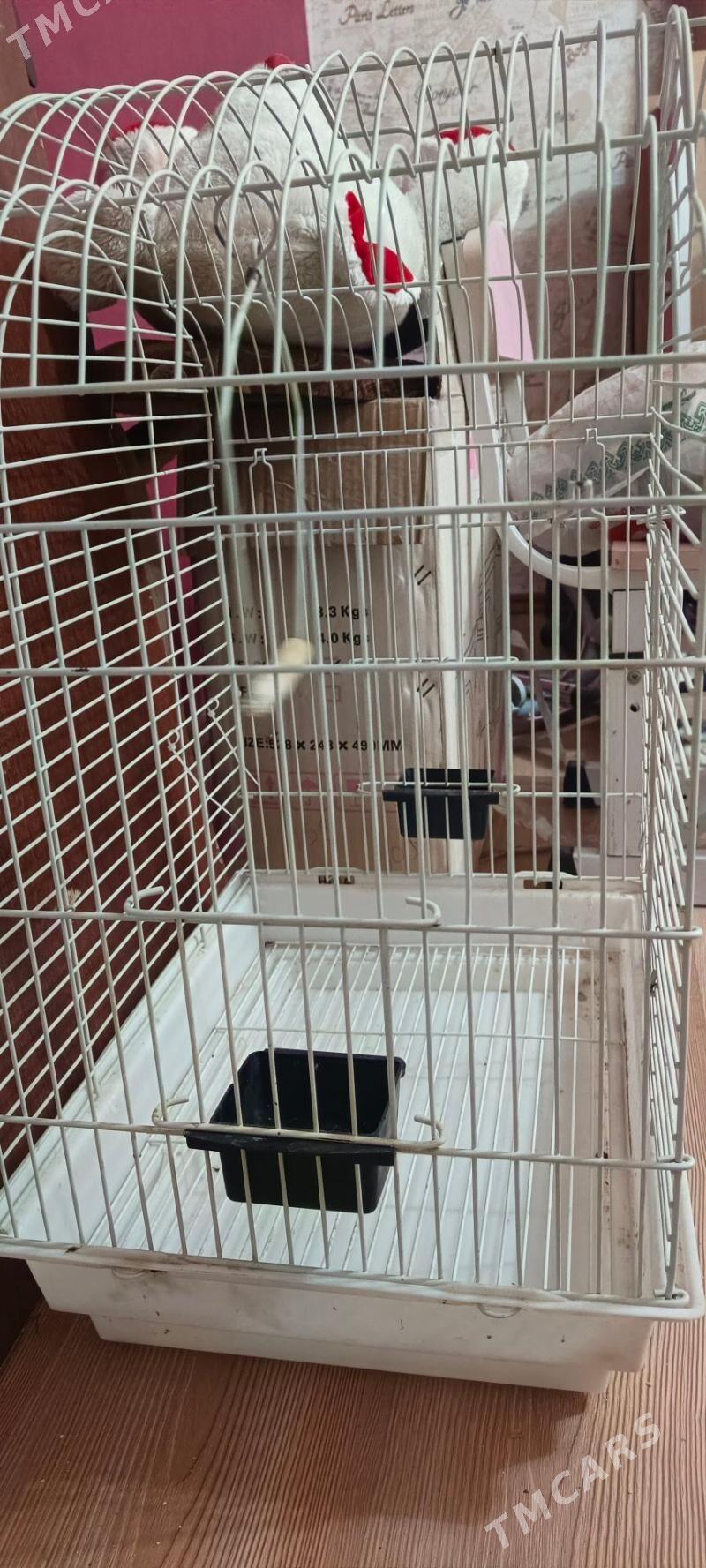 Клетка для попугаев - Балканабат - img 2