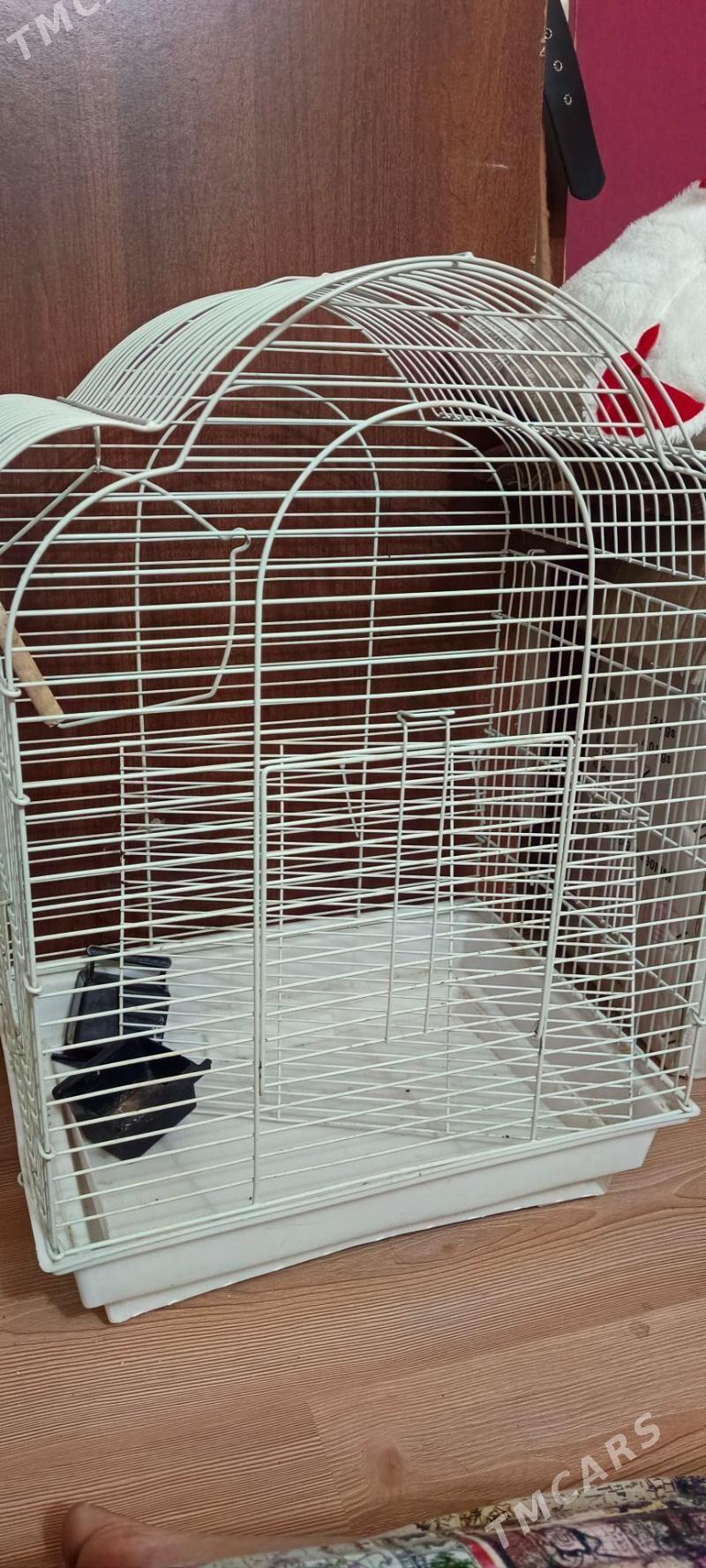 Клетка для попугаев - Балканабат - img 3