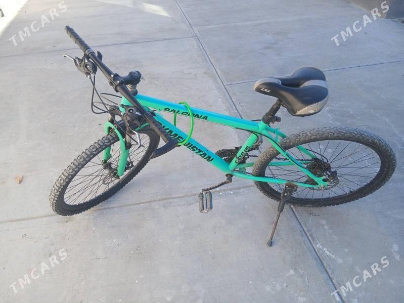 tigir - Гёкдже - img 1