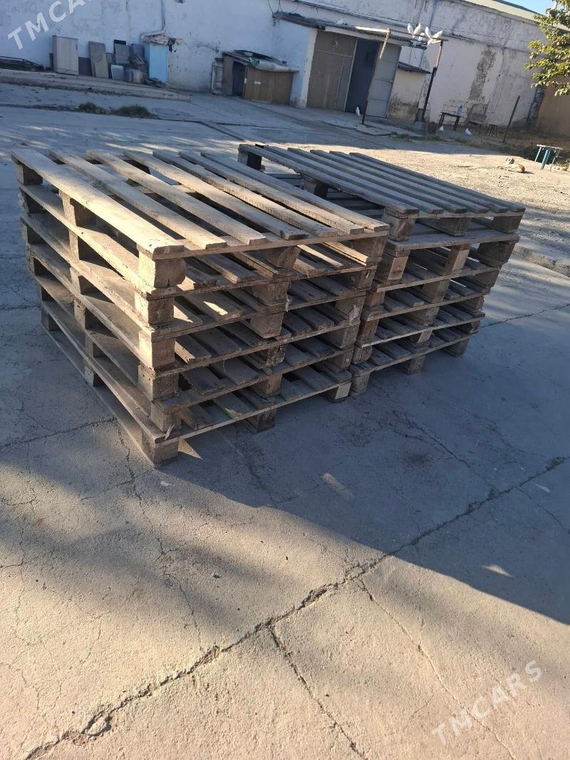 paddon - Bedew - img 2