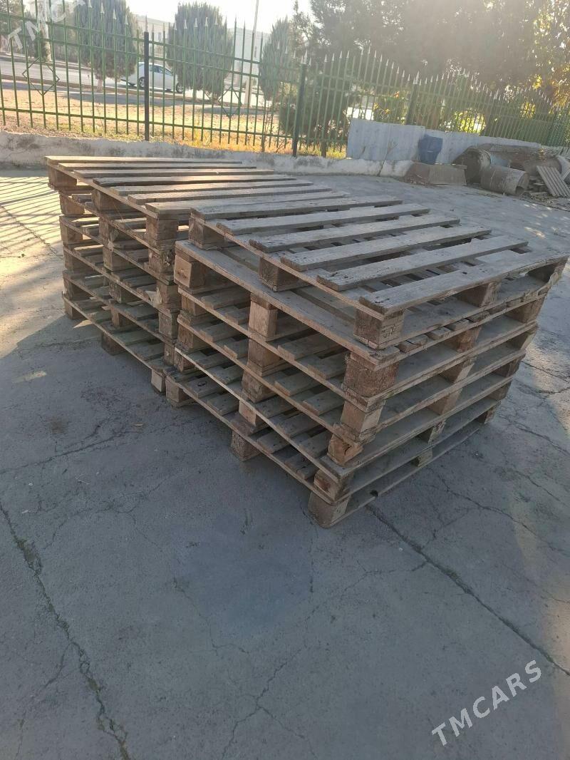 paddon - Bedew - img 1