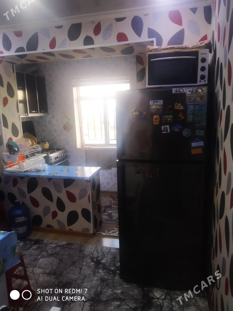 Satlyk jay - Mary - img 4