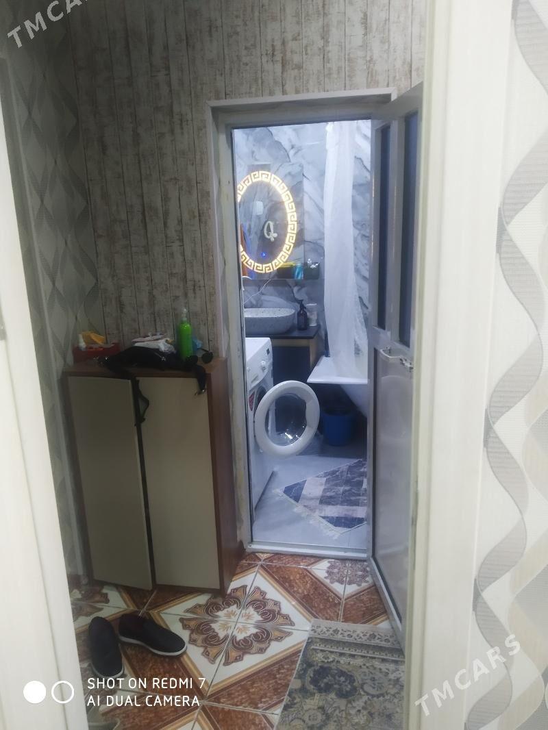 Satlyk jay - Mary - img 1