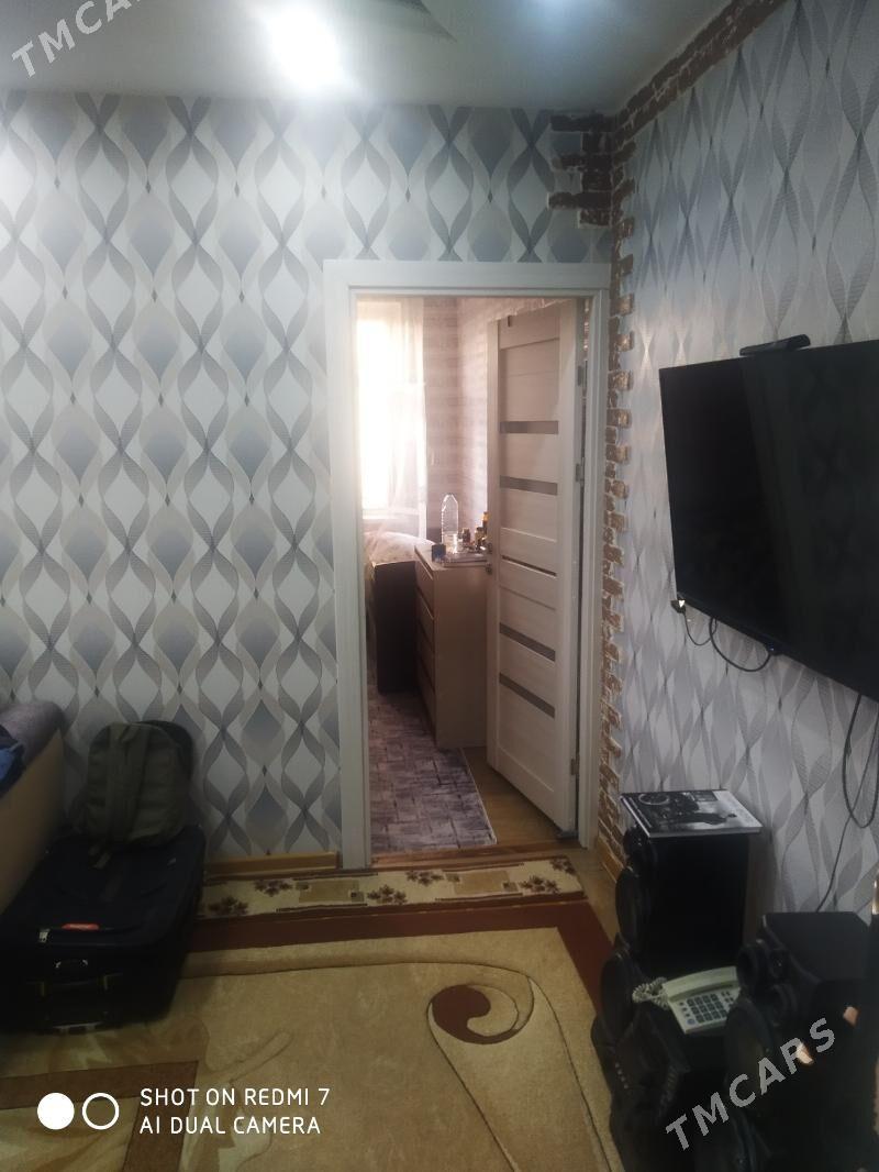 Satlyk jay - Mary - img 2