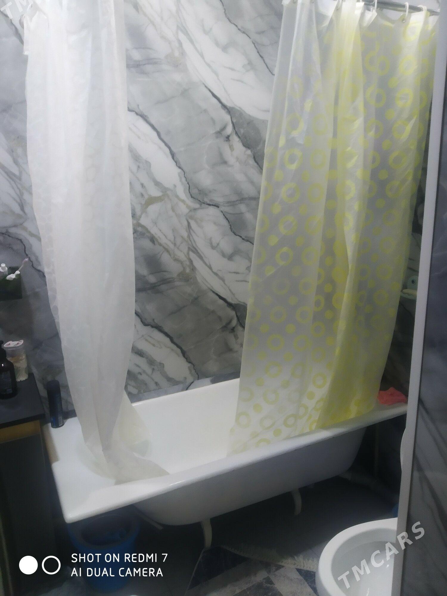 Satlyk jay - Mary - img 5