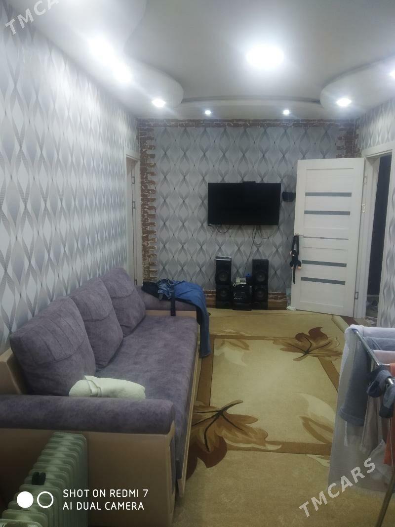 Satlyk jay - Mary - img 3