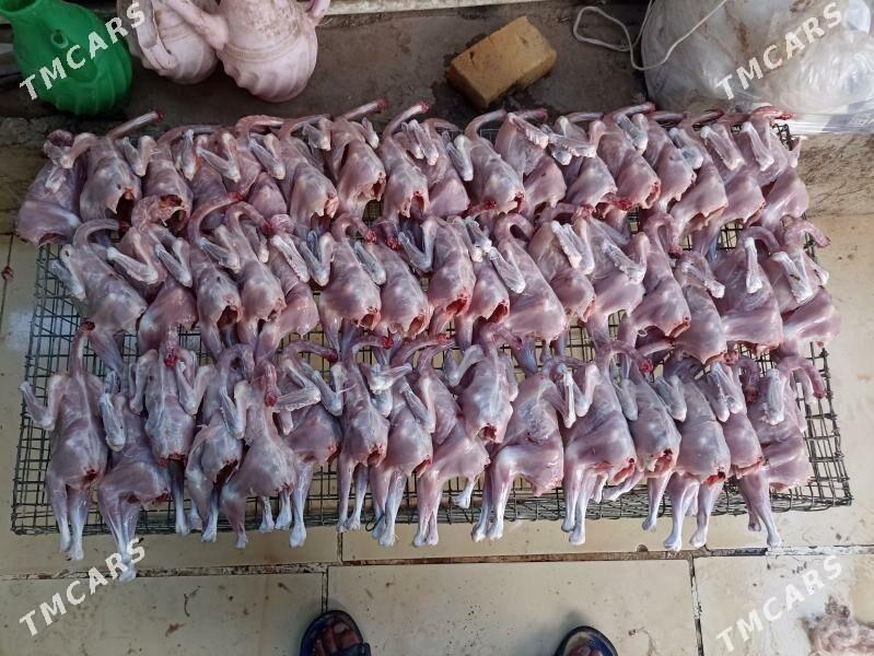 towuk juje horaz bar - Garadamak Şor - img 9