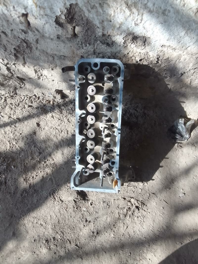 ягдайы говы 300 TMT - Дянев - img 5