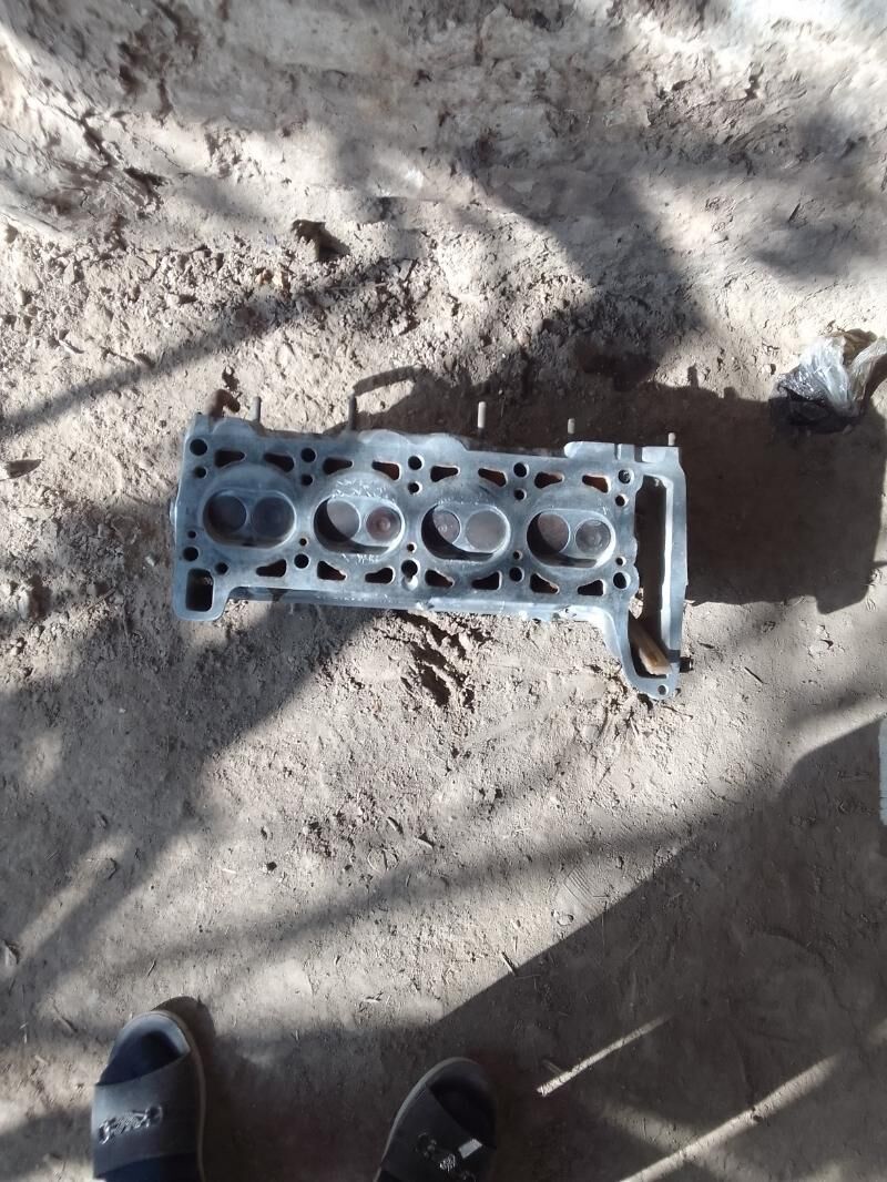 ягдайы говы 300 TMT - Дянев - img 4