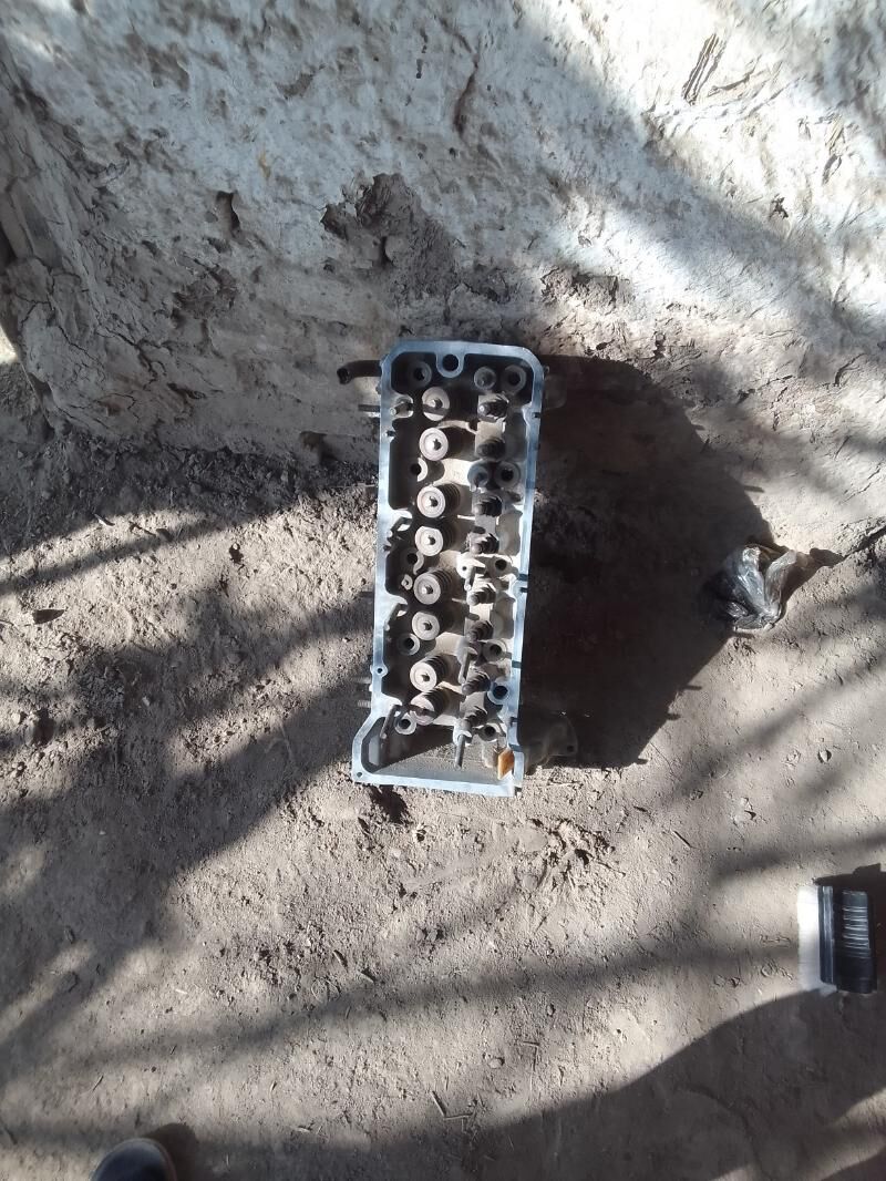 ягдайы говы 300 TMT - Дянев - img 6