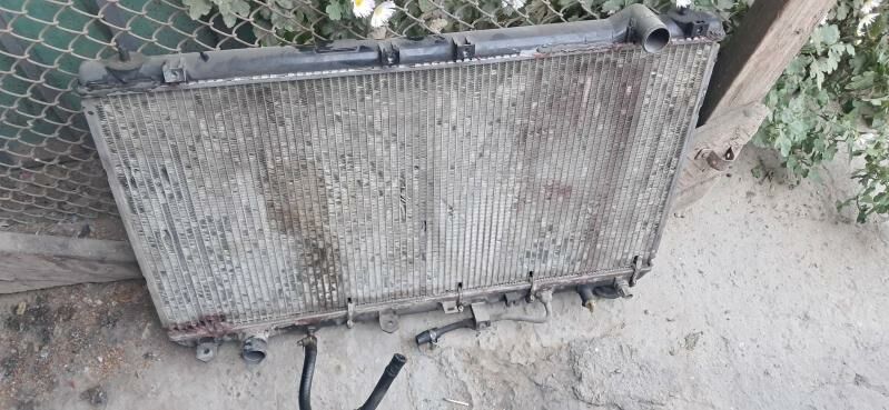 Радиатор 3лик бабычка 600 TMT - Türkmenabat - img 2