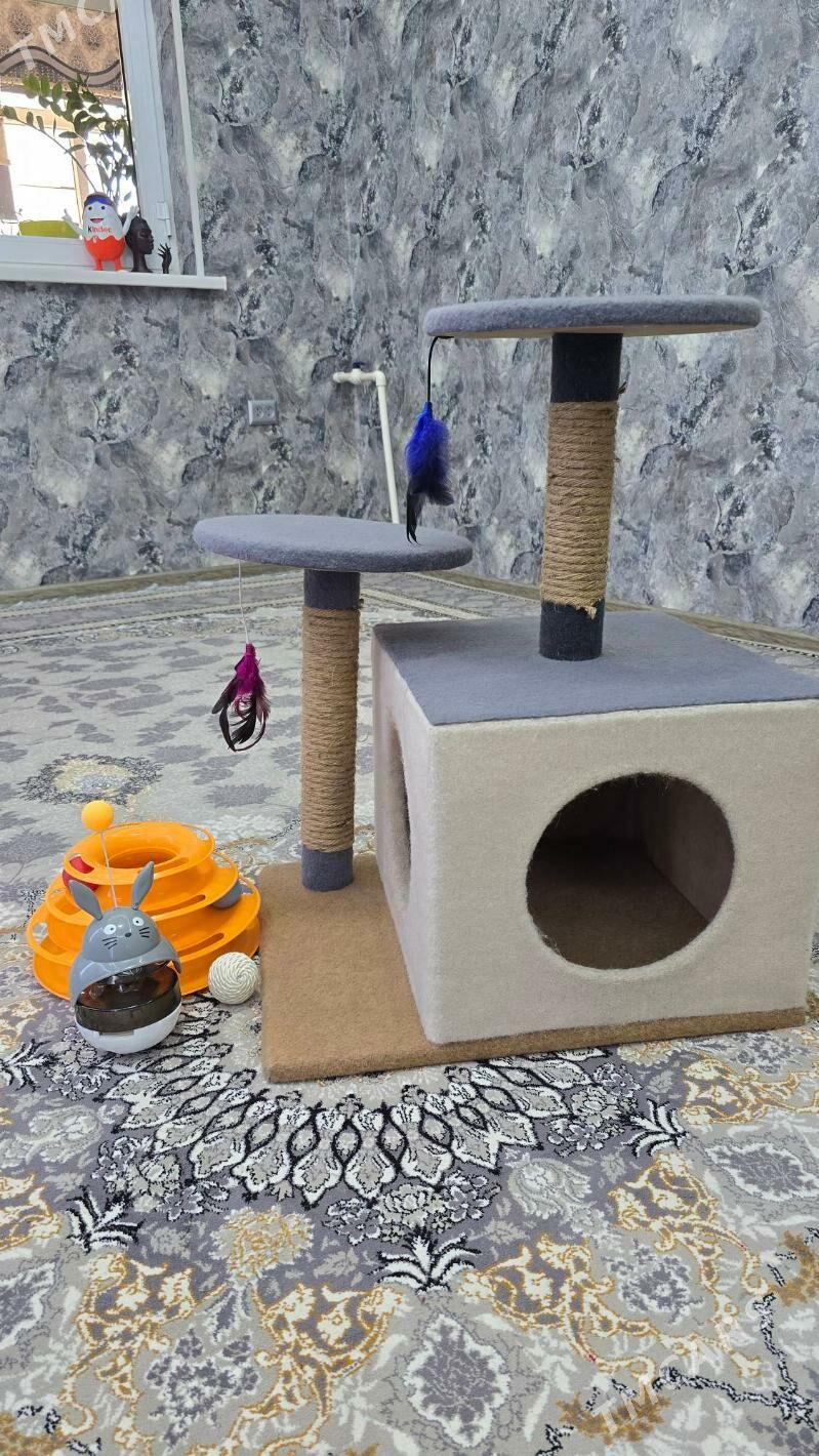 Домик для кошек и котов+ игруш - Ашхабад - img 2