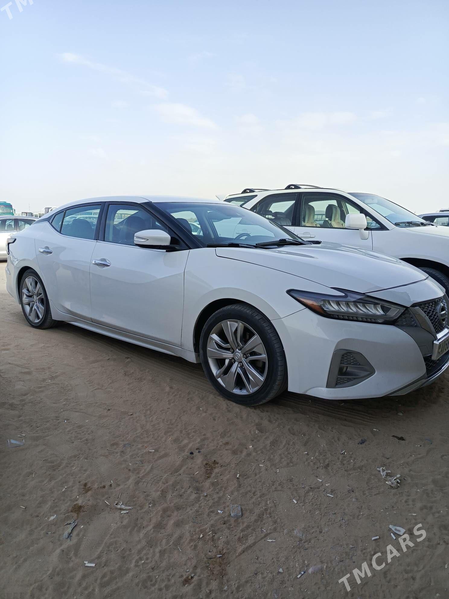 Nissan Maxima 2020 - 270 000 TMT - Чоганлы - img 1