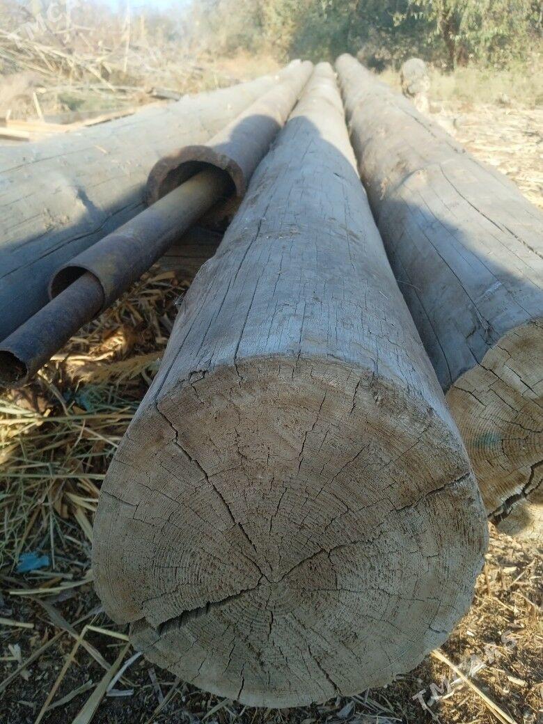 rasiski agac - Болдумсаз - img 2