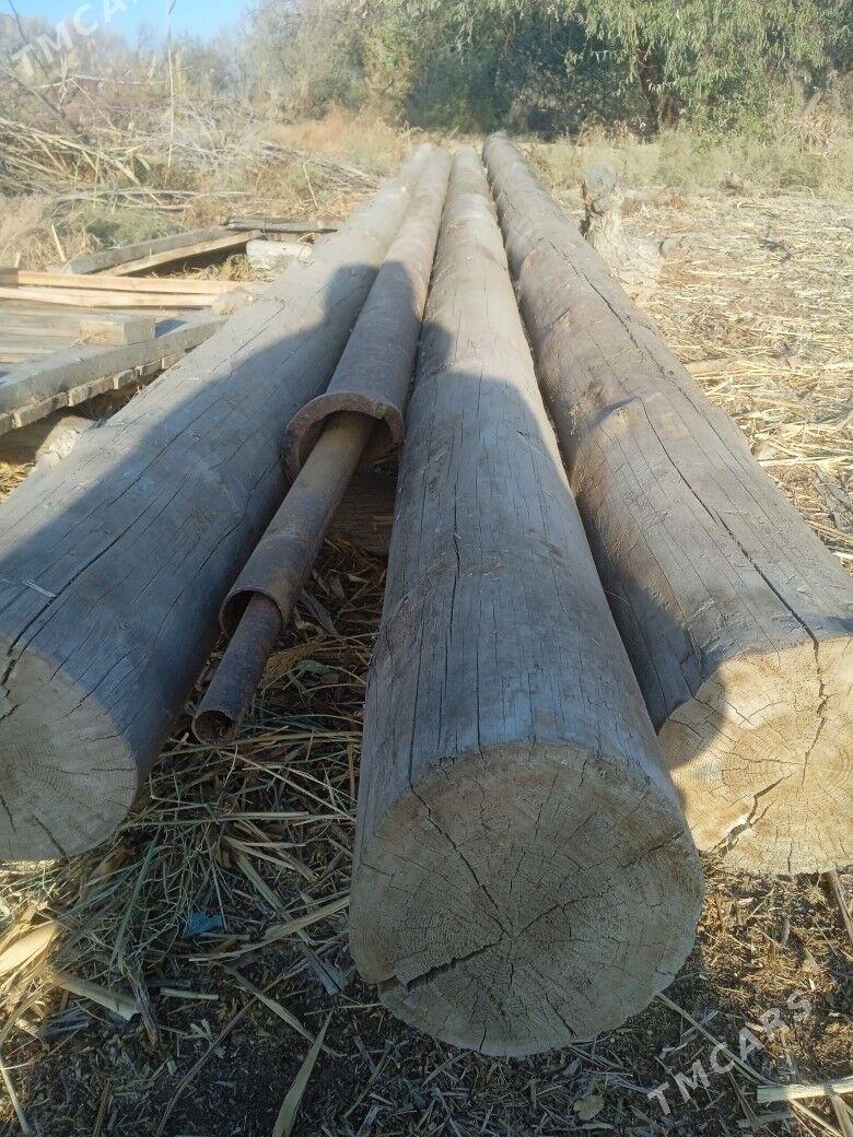 rasiski agac - Болдумсаз - img 1