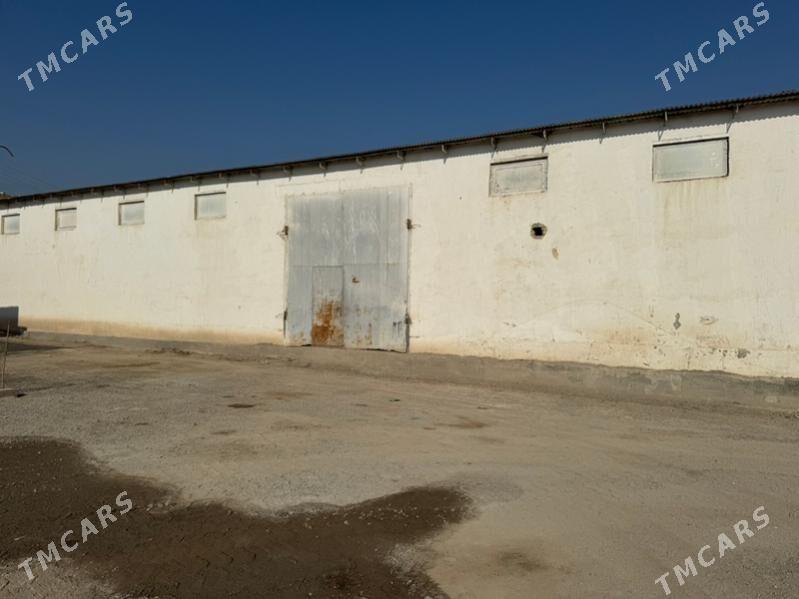 Arenda   sklad - Туркменабат - img 4