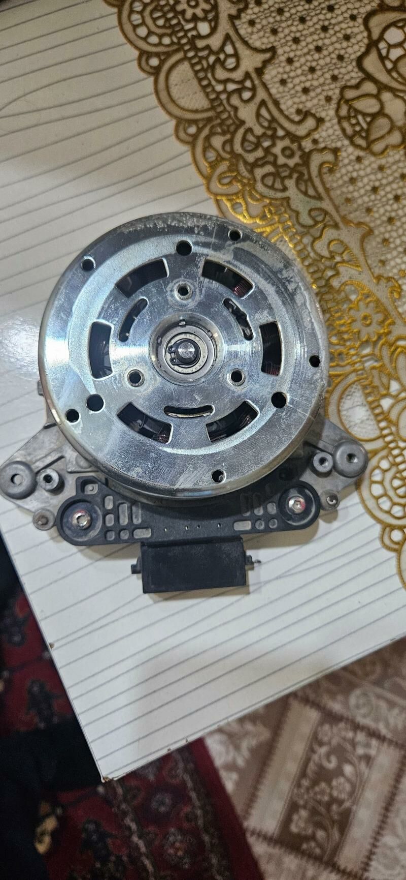 lopus matorçik 600 TMT - Aşgabat - img 2