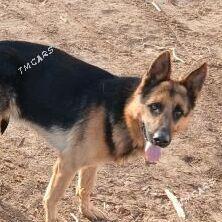 Gerda - Губадаг - img 4