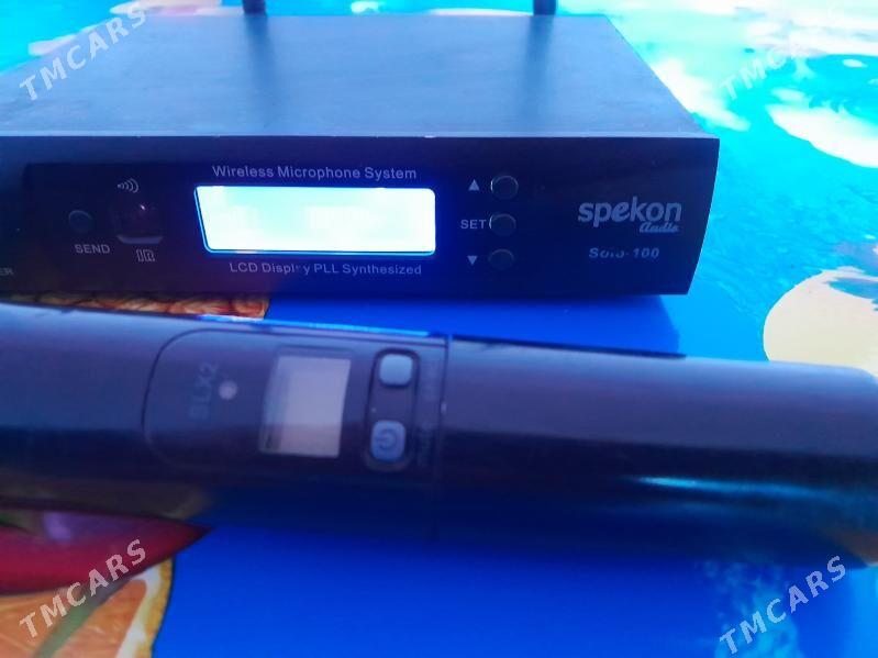 Radio mikrafon - Şabat etr. - img 5