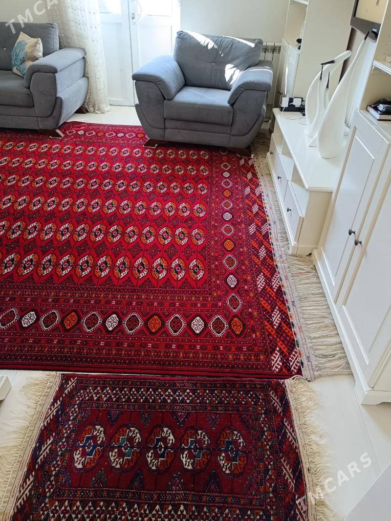 Свобода высокопотолочка - Ашхабад - img 5