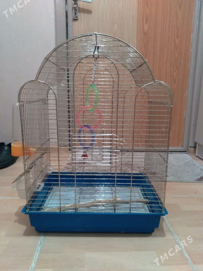 клетка - Aşgabat - img 2