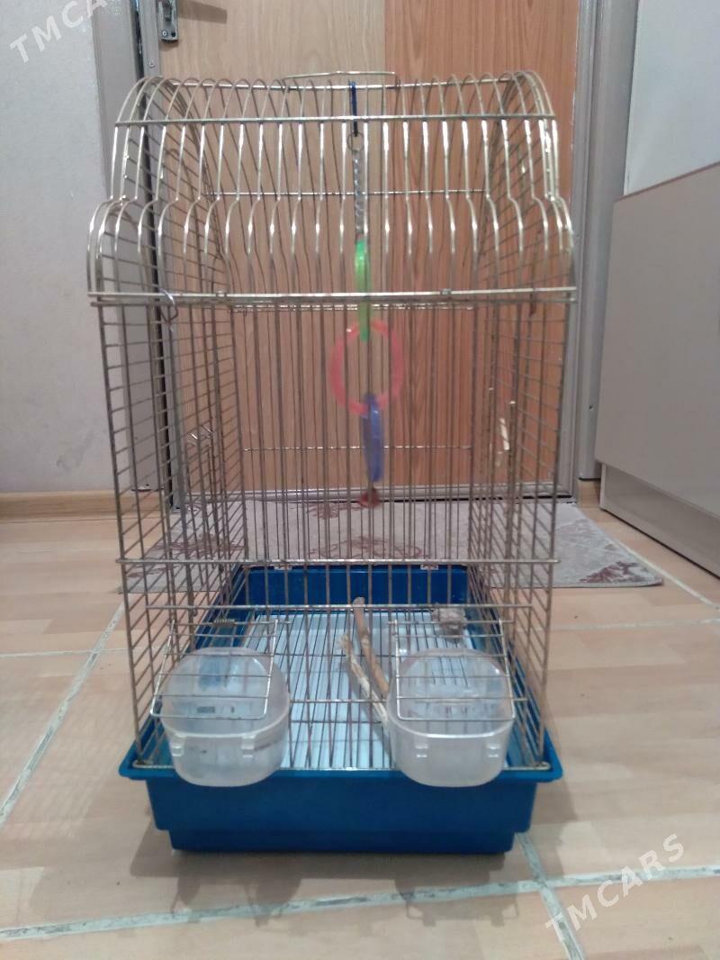 клетка - Aşgabat - img 3