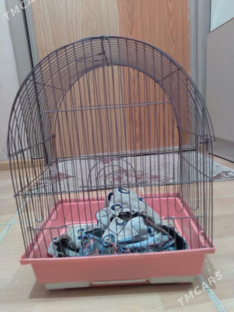 клетка - Aşgabat - img 4