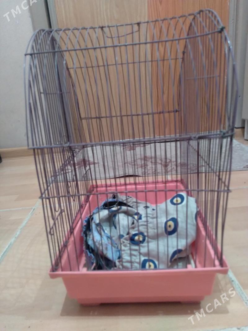 клетка - Aşgabat - img 7