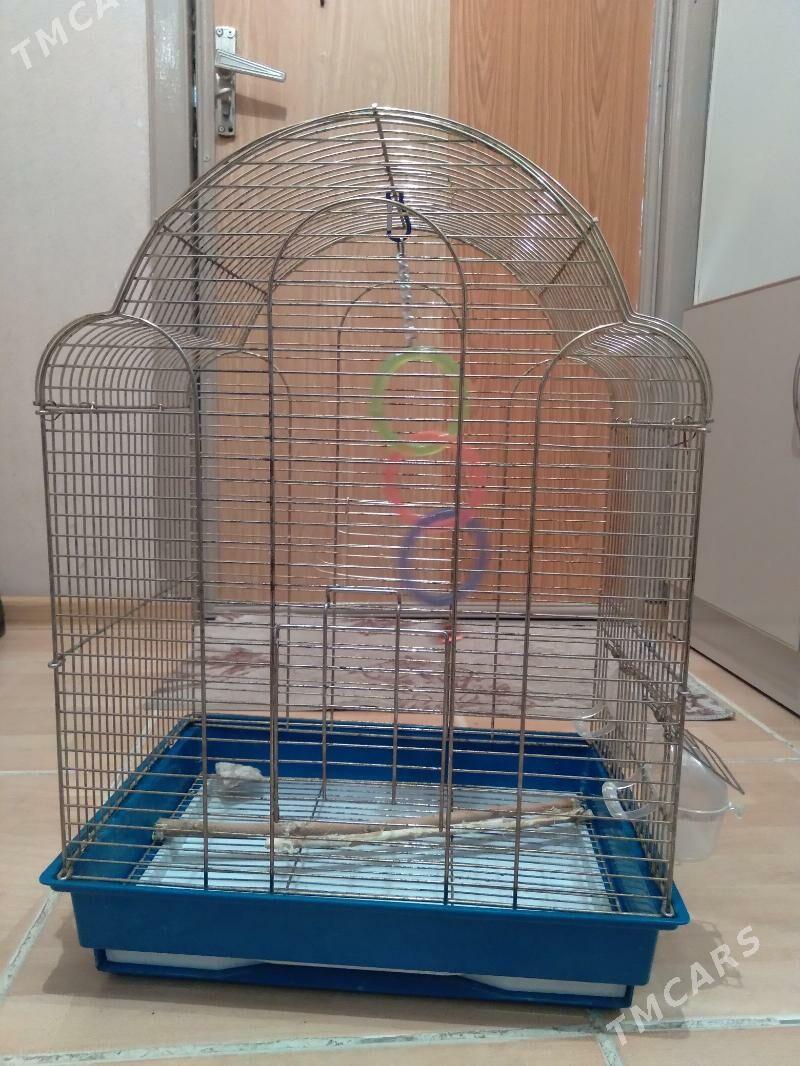 клетка - Aşgabat - img 8