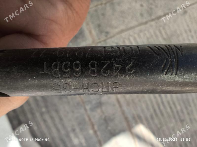 payalnik - Änew - img 2