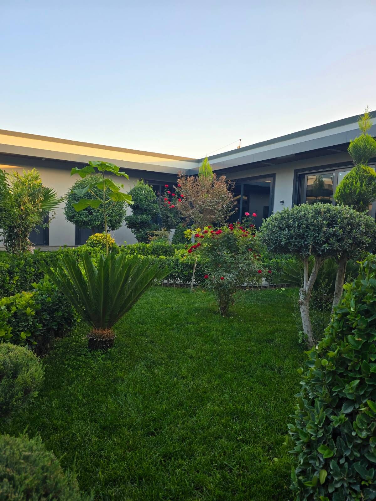 BAGYR MIREWE - Багир - img 9