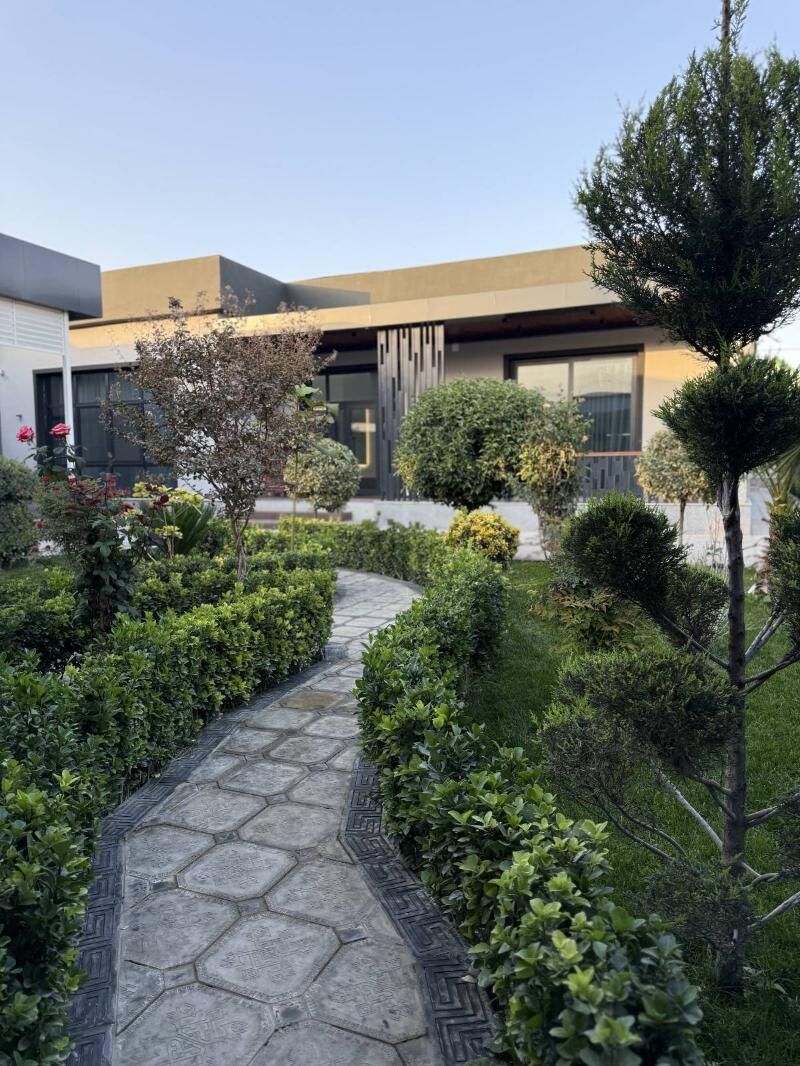 BAGYR MIREWE - Багир - img 10