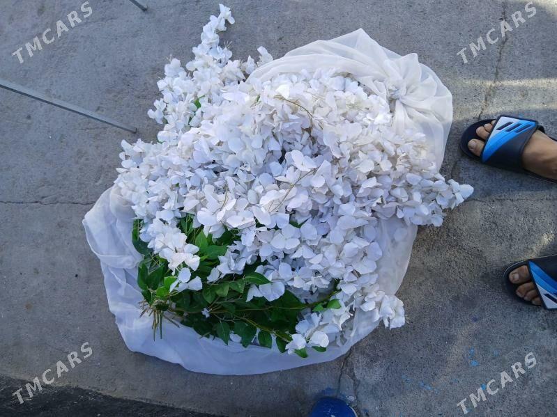 bezeg gul - Хитровка - img 2