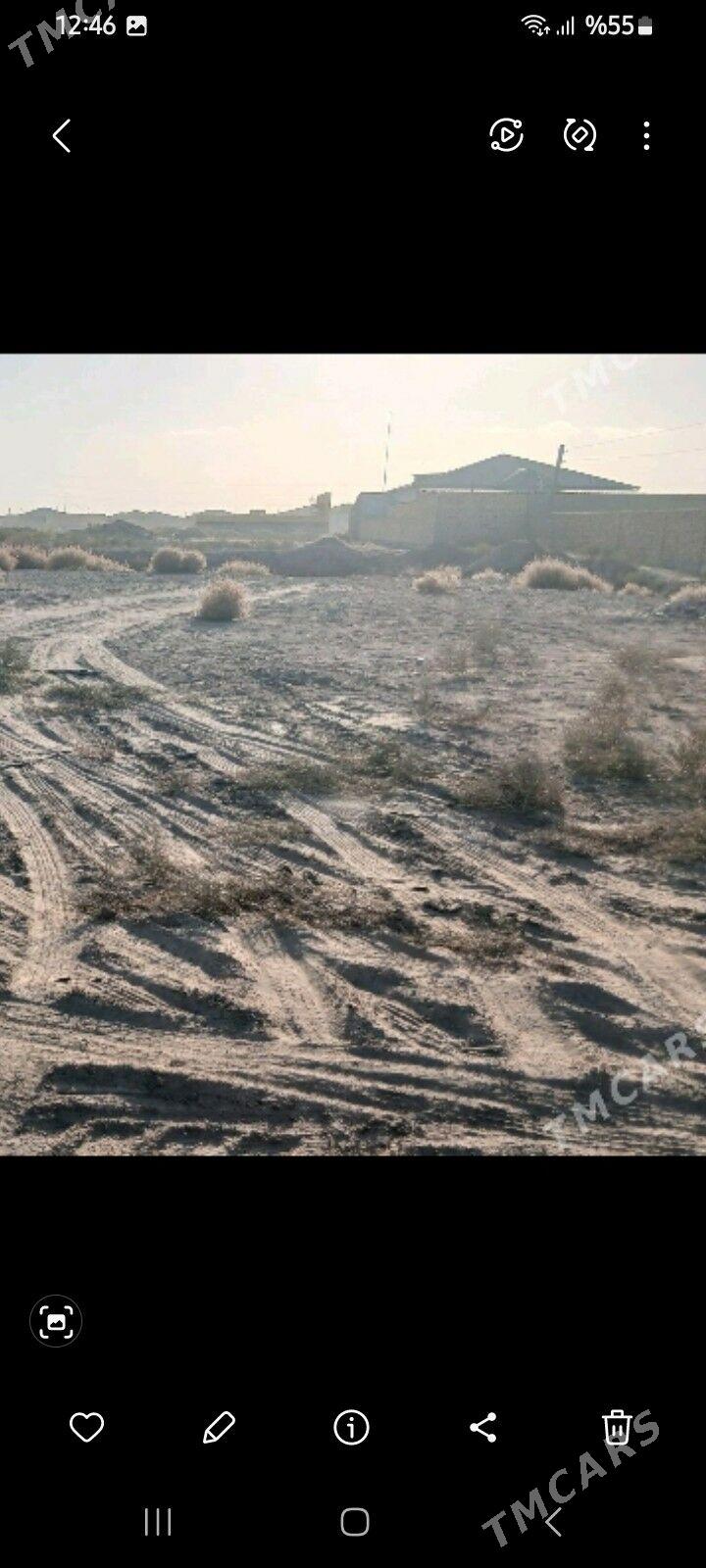 MELLEK YER - Daşoguz - img 4