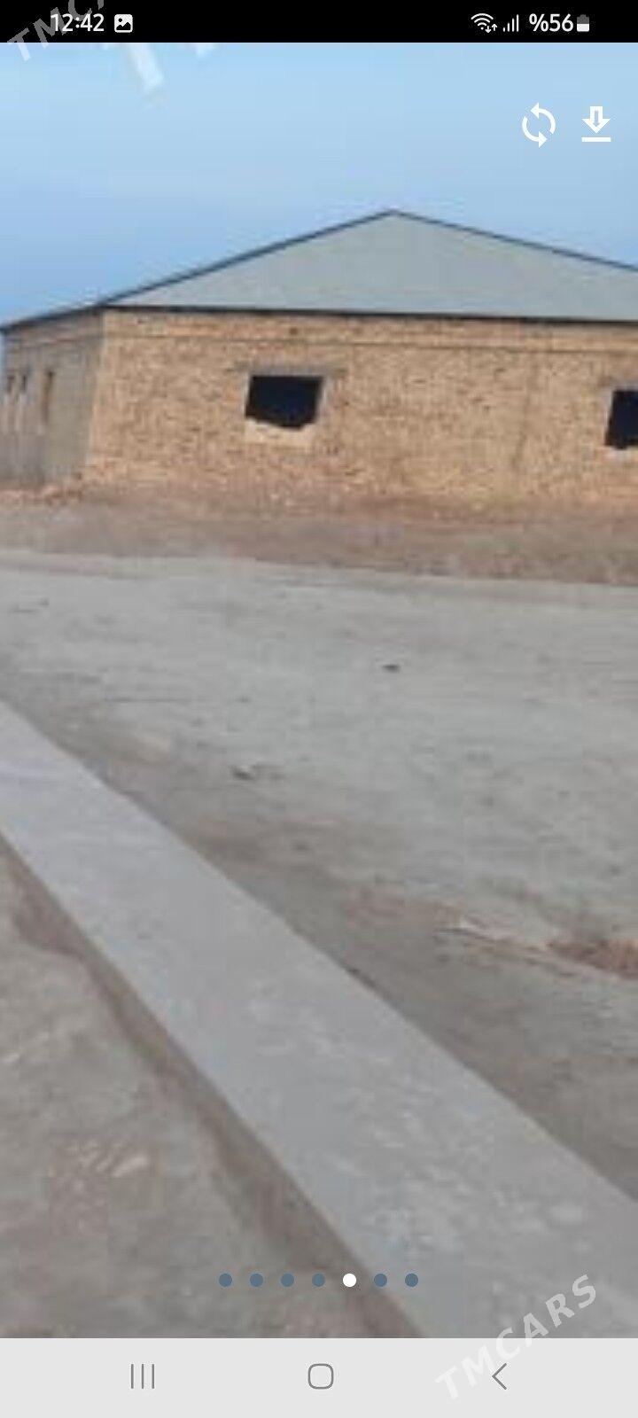 MELLEK YER - Daşoguz - img 2