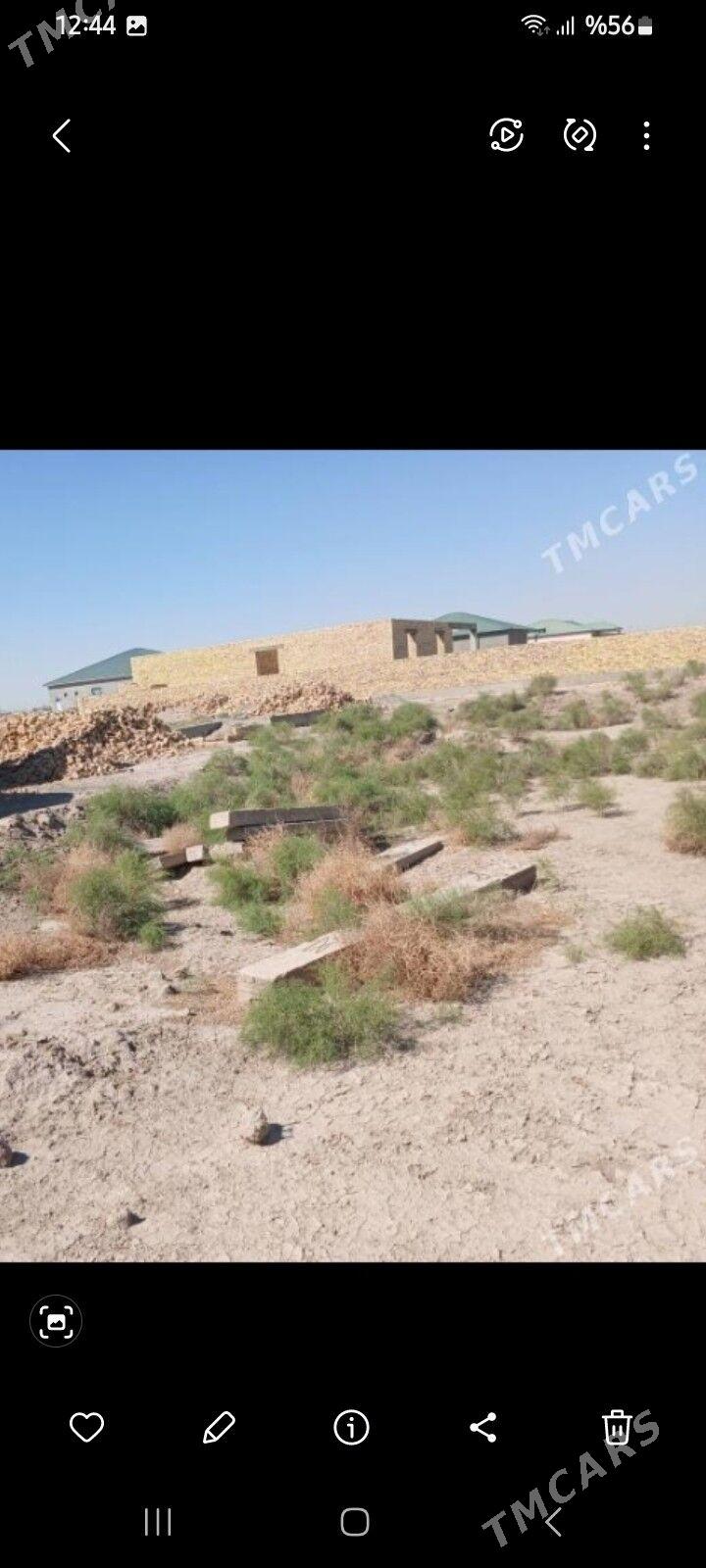 MELLEK YER - Daşoguz - img 3