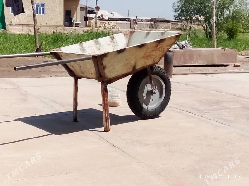 iskar gerek  sywarka - Türkmengala - img 4