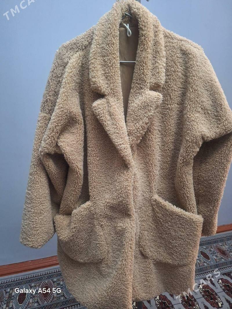 sayk - Daşoguz - img 2