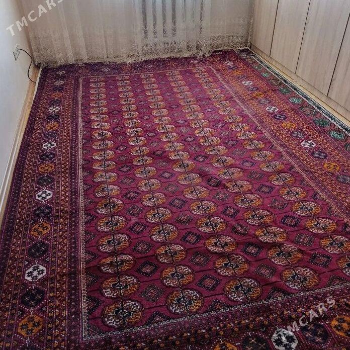 el haly 2yarym ini uzynlygy 4m - 10 мкр - img 3