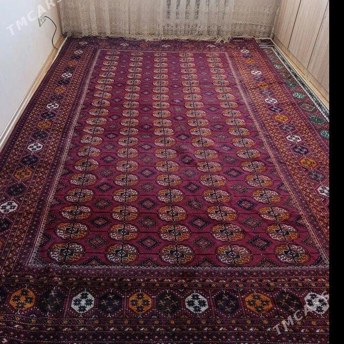 el haly 2yarym ini uzynlygy 4m - 10 мкр - img 2