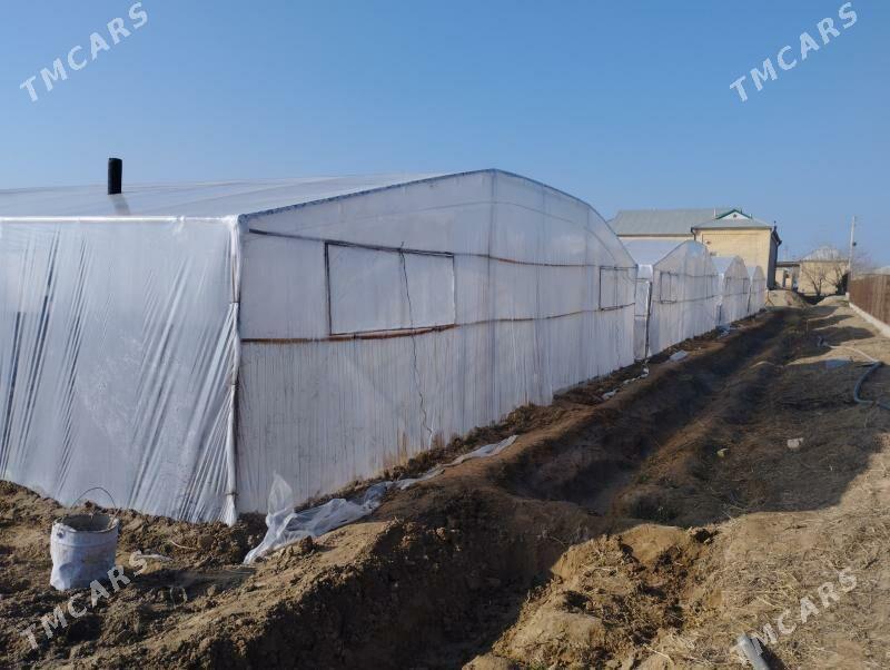 isgar gerek - Murgap - img 4