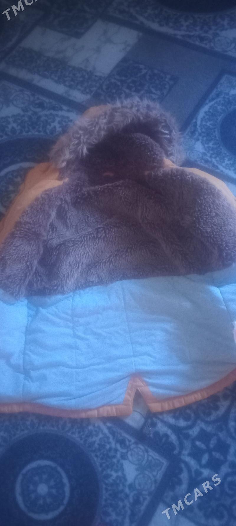 zenan kurtgasy - Гороглы (Тагта) - img 1