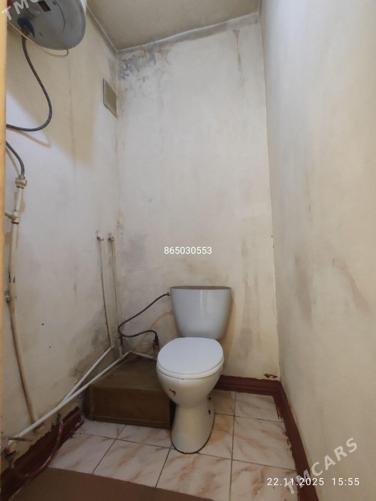 Satlyk jay Gowdan Arzan  - Гаудан "В" - img 8